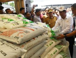 Petani Sumut Disitam Bantuan Rp. 534 Milyar