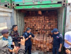 55 Kontainer Berisi Kayu Olahan Ilegal Ditindak