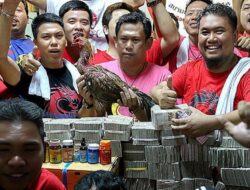 Gemah Beberkan Dugaan Pemerasan Anggota DPRD DKI, Judi Sabung Ayam